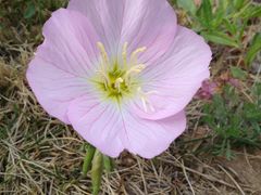 -济南国际园博园