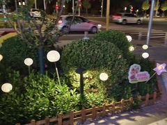 -全心全意动物诊疗中心医院(北苑店)