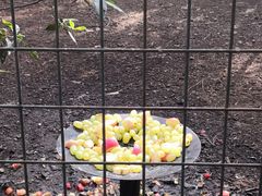 -费瑟代尔野生动物园