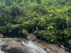 -广州白江湖森林公园