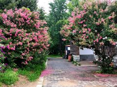 -国家植物园南园