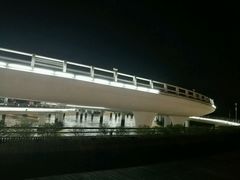 -演武大桥观景平台