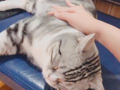 -肉串汪(望京店)