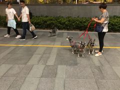 -冶春茶社(星汉大厦店)