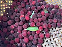 -宝岩生态观光园