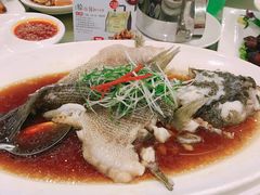 笋壳鱼-顺风海鲜港(金玉兰店)
