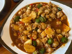 -红辣椒八爪鱼特色韩国料理