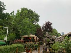 -二荆条·蜀鲜汇城市森林火锅