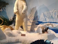 -陕西自然博物馆