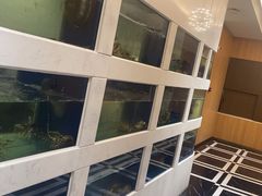 -隆聚·时令海鲜(洪兴店)