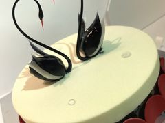-BLACKSWAN黑天鹅(环球店)