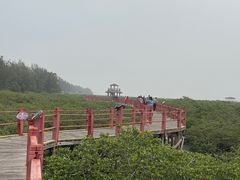 -北海金海湾红树林生态旅游区