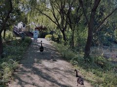 -长兴太湖图影湿地文化园