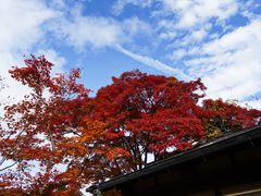 -常寂光寺