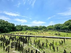 -河姆渡遗址博物馆