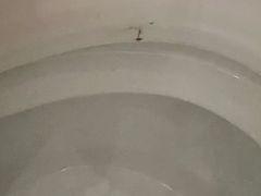 -无锡丽笙精选酒店