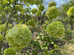 -合肥三国新城遗址公园