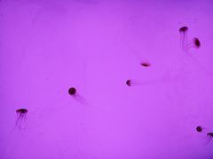 -沈阳海洋探索中心