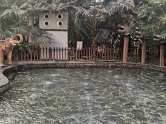 -龙达温泉生态城
