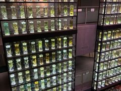 -广东中医药博物馆