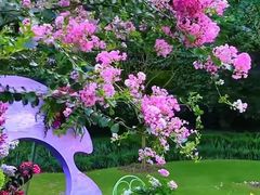 -杭州城北体育公园