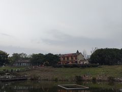 -大塘金香草谷
