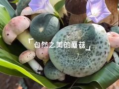-三锅莊·牦牛肉火锅·香格里拉特色藏餐宴请餐厅(昆明创始店)