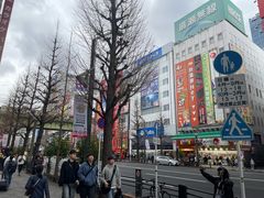 -秋叶原电器街