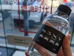 -TESLA 特斯拉(北京南四环中路特斯拉中心)