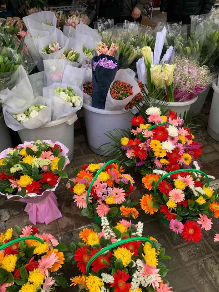 曹庄花卉市场早市图片