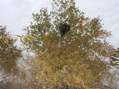 -亿利库布其七星湖沙漠生态旅游区