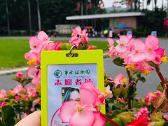 -华南植物园停车场