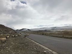 -日月山景区