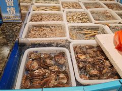 -海景壹号大酒店(惠钱路店)