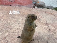 -杭州野生动物世界