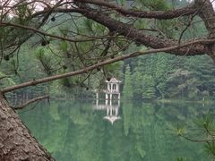 -四明山国家森林公园