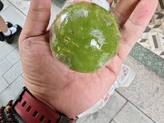 -沈大成(城隍庙店)