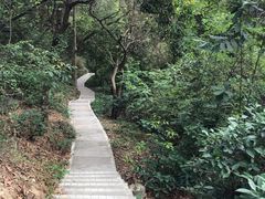 -云溪植物园