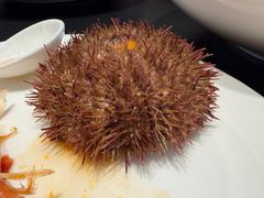 -常鲜楼常来尝鲜海胆馆(星海店)