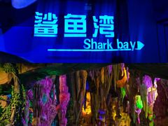 -泉城欧乐堡海洋极地世界