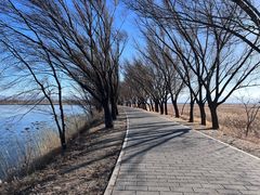 -野鸭湖国家湿地公园