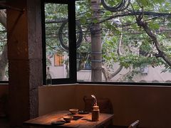 -毛辣果·酸