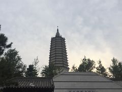 -舍利塔滩地公园-无垢净光舍利塔