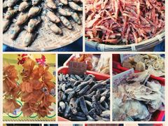 iphone_upload_pic-梅窝
