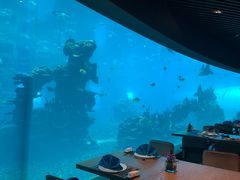 -海棠湾洲际-涛·海底餐厅·美人鱼·自助餐·海底隧道