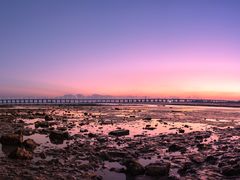 -宝安西湾红树林湿地公园