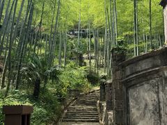 -莫干山风景区