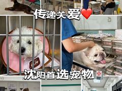 -派美特宠物医院·核磁CT·骨科肿瘤·疑难转诊(沈农禾丰店)