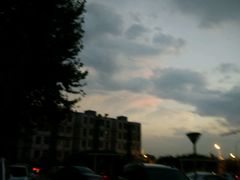 -极致味道动物奶油生日蛋糕(时尚店)