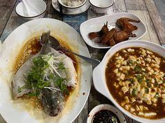 -东鸽皇(奥园·中环广场店)